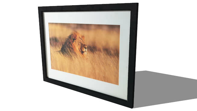 表的狮子，家世界，130378 39€参考价格 相框 监视器 火炉栏 显示器 书