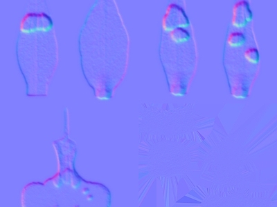 其他法线