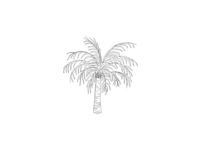 乔木种植 备用植物图例