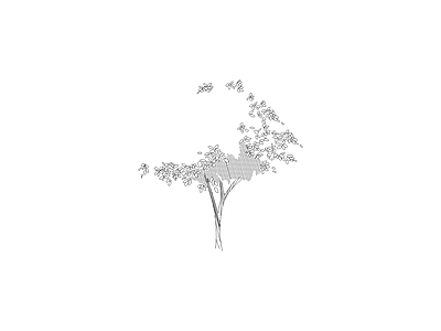 景观灯具详图 植物