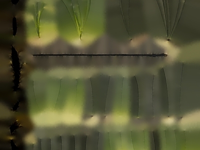 瓦楞玻璃