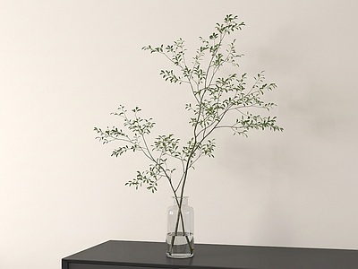 艺术绿植灌木