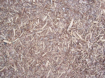 地面-草皮-0049.jpg 自然