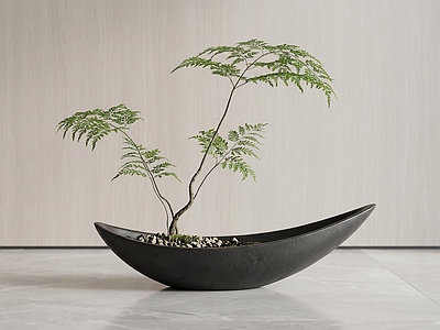 艺术绿植盆栽