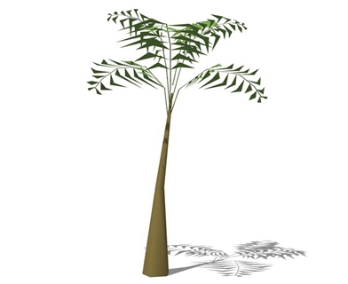 3D棕榈科植物
