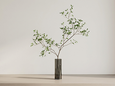 造型绿植灌木