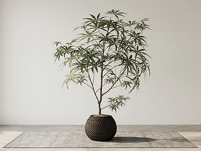 艺术绿植盆栽