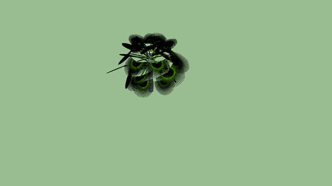 俾斯麦棕榈树 其他 苍蝇 蜜蜂 谷仓蜘蛛 狼蜘蛛