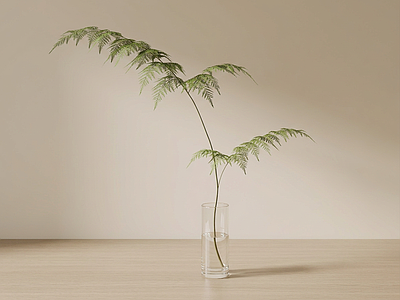 艺术绿植草本植物