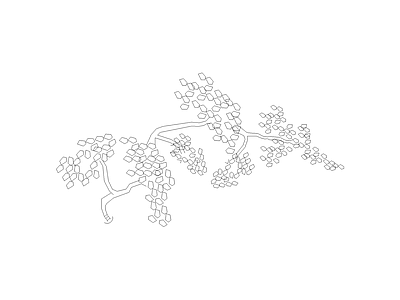 乔木种植 树