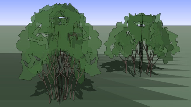 Woody Shrubs（丁香）/树 画 家居物品 峰 其他 地图