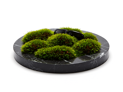苔藓盆景装饰品