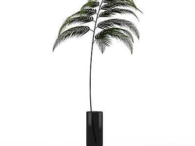 带盆绿植盆栽
