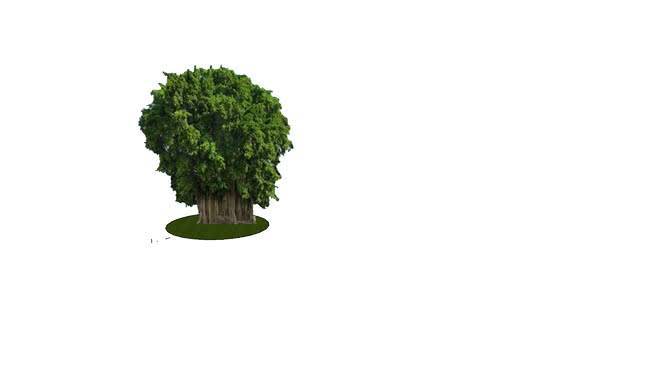 高榕树 西兰花 饰品 植物 其他 珊瑚礁