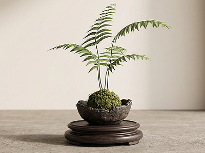 桌面盆栽绿植盆栽