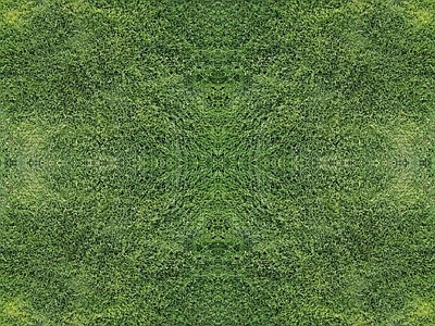 自然地面