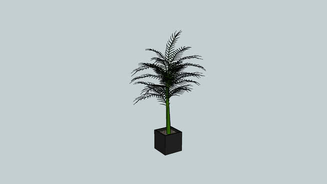 室内植物 交通灯 饰品 口哨 降落伞 植物