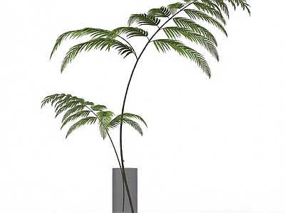 带盆绿色植物模型