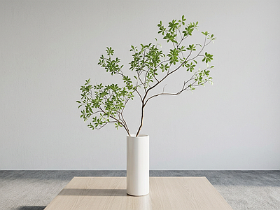 造型绿植灌木
