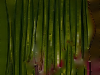 绿植墙