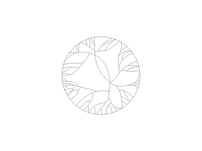 常用植物图例 红羽毛槭