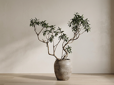 造型绿植盆栽