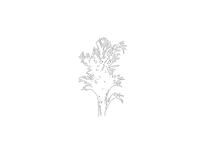 乔木种植 常用植物图例