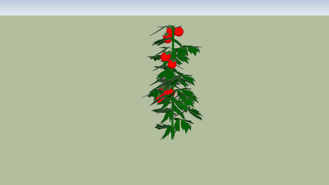 番茄植株 其他 画 短尾鹦鹉 蜂鸟