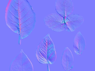 其他法线