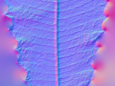 其他法线