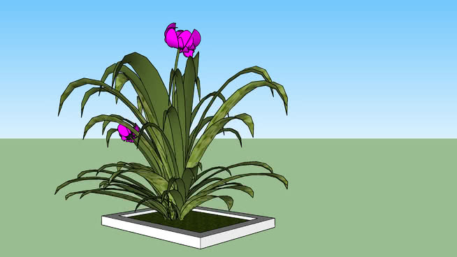 Flowers，花园，风景 画 其他 花 刺棘蓟