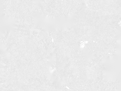 硅藻泥