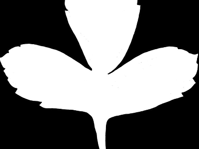 其他黑白凹凸