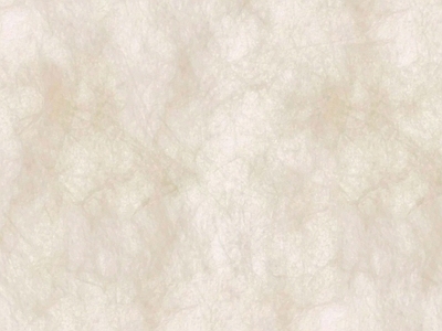 硅藻泥