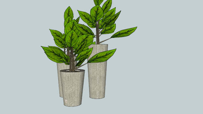 播种机 植物 花瓶 其他 花盆