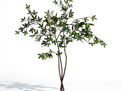 小型仿真植物枝条