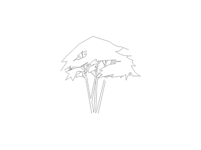 植物标准种植图 丛生树