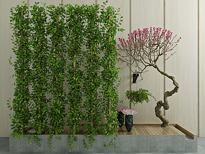 现代绿植 植物