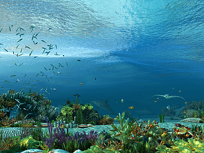 现代海底世界 热带鱼珊瑚鱼群水族箱水族馆海鲜海洋生物