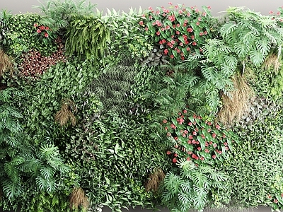 北欧植物绿植 植物墙