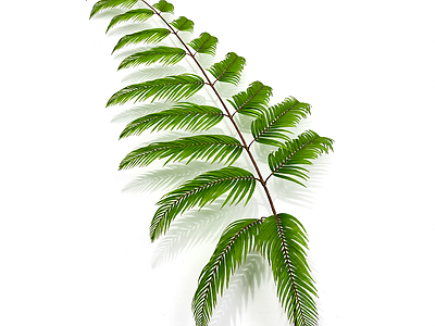 绿色枝叶植物模型