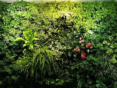 高清 草坪墙