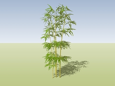 现代风格竹子