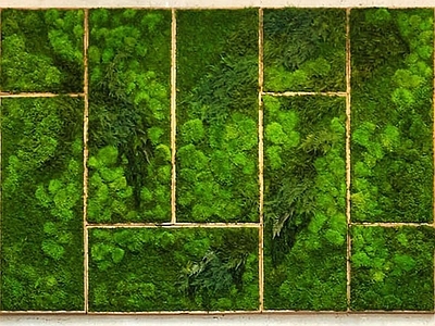 植物墙 绿植 花卉1