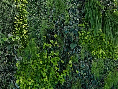 高清 现代 壁纸 壁画 墙绘 绿植墙