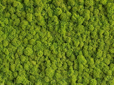 高清现代绿植墙