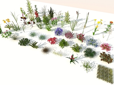 现代花草组合
