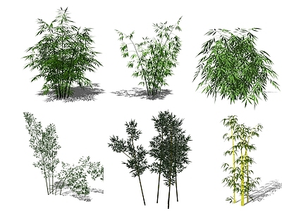 现代风格景观竹子