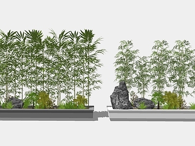 现代风格盆栽 竹子盆栽 花池