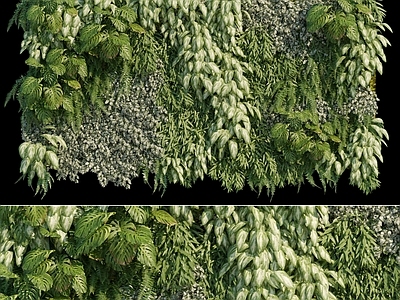 现代绿植墙 蔓藤植物 垂直绿化 植物背景墙
